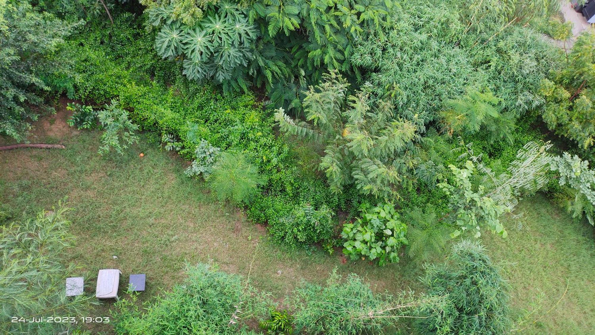 Osho Villa Guest House Dźajpur Zewnętrze zdjęcie